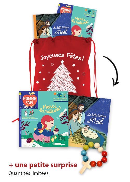 ASSEMBLAGE DE NOEL NOVALIS 3-6 ANS