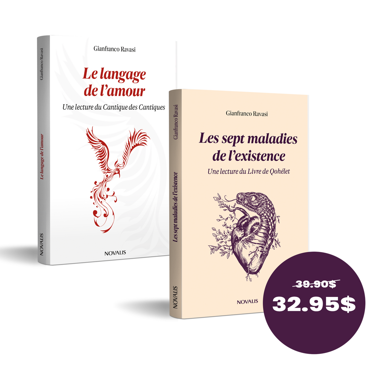 Assemblage Livres Ravasi
