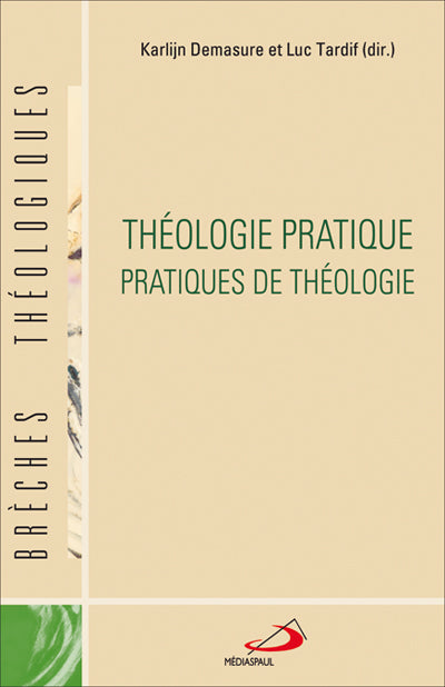 Théologie pratique : pratiques de théologie